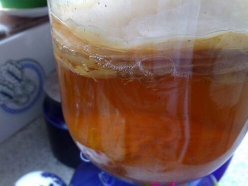 absorption of kombucha from psoriasis