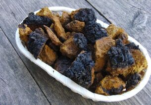 Chaga birch mushrooms